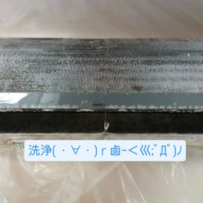画像274