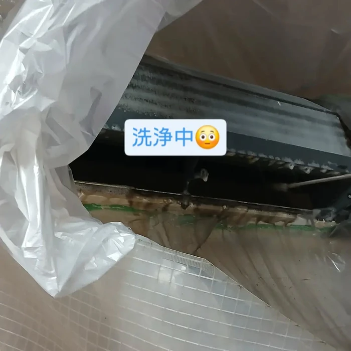 画像276