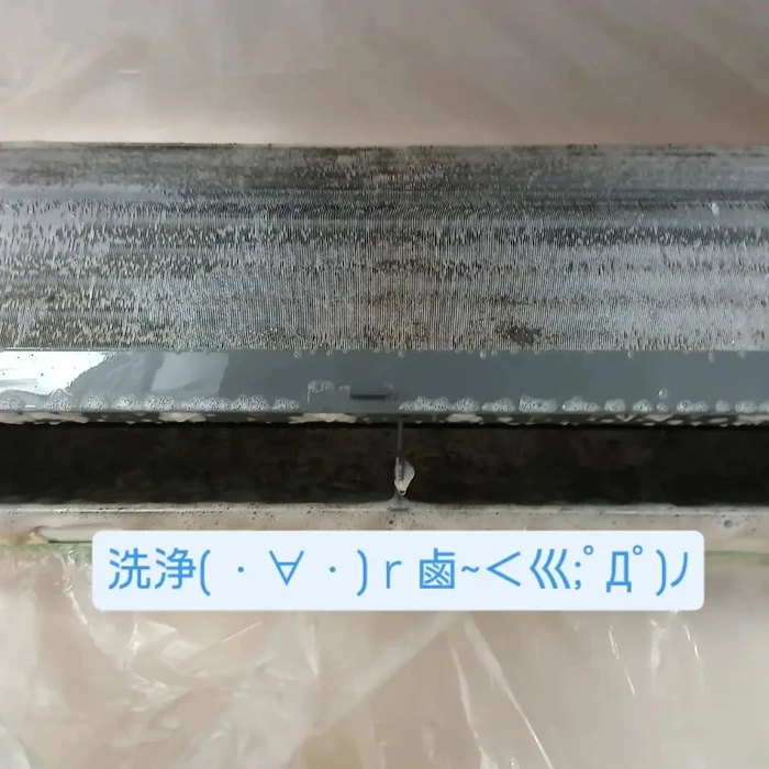 画像282